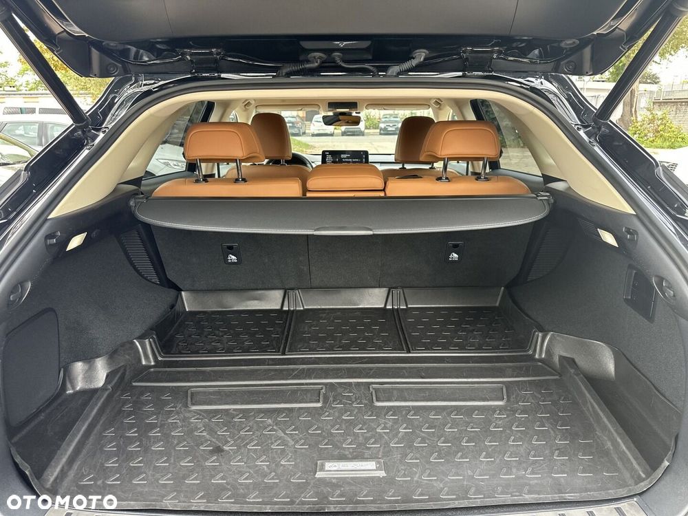 Lexus RX 450h F-Impression - 15