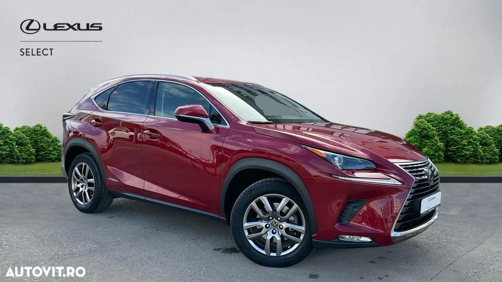 Lexus Seria NX 300h AWD Executive Plus - 12