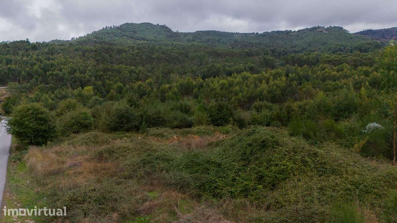Terreno Rústico com 9000m2 em Refojos de Basto, Cabeceiras de Basto - Grande imagem: 3/7
