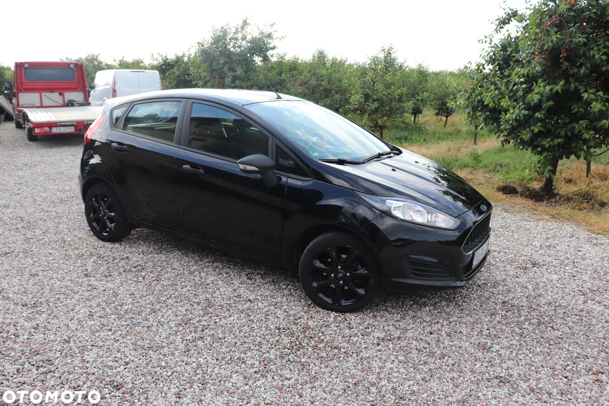 Ford Fiesta 1.25 Celebration - 13