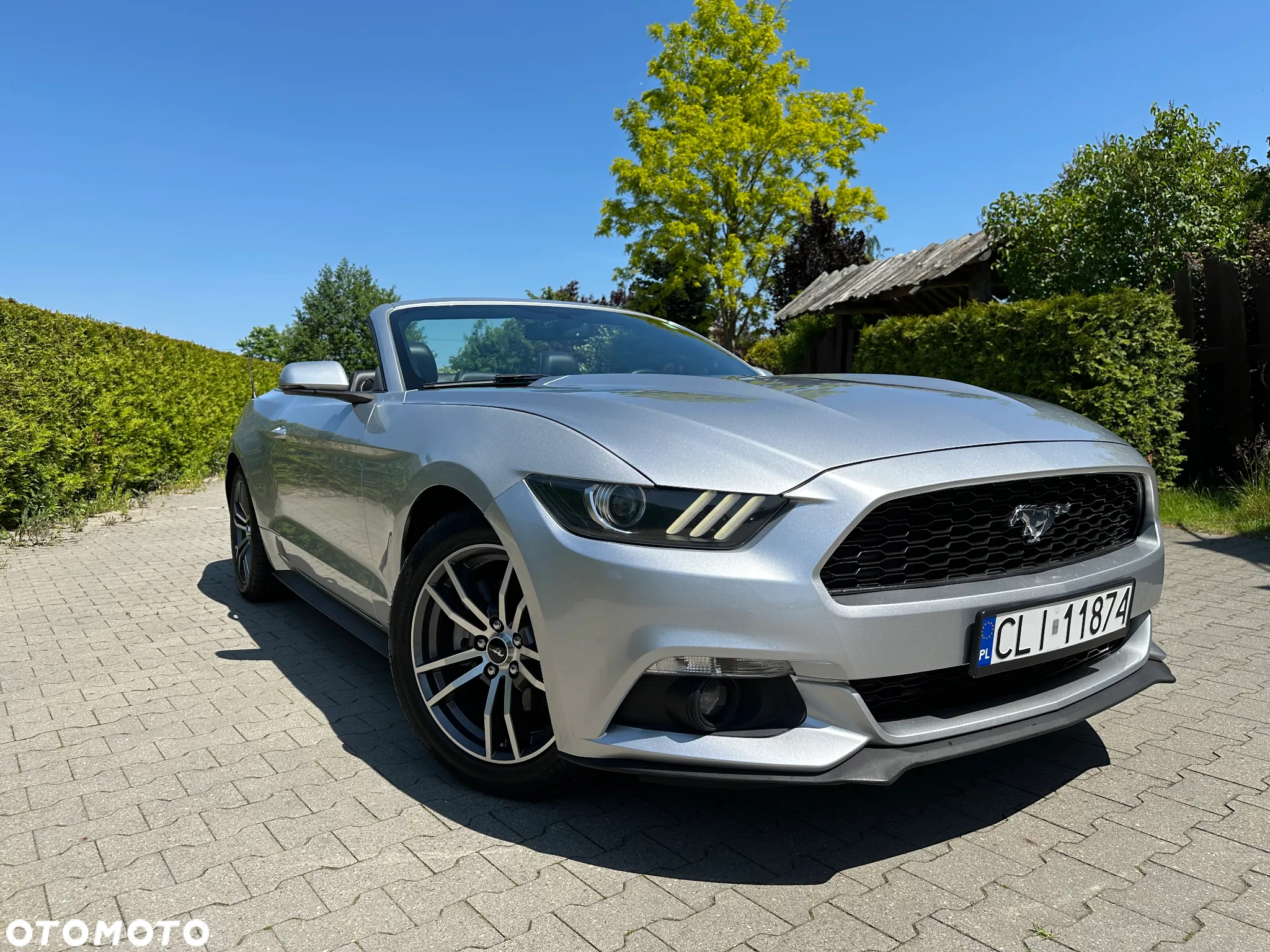 Ford Mustang Cabrio 2.3 Eco Boost - 6