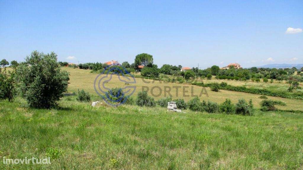 Terreno para construção junto da cidade de Tomar no Centro de Portugal - Grande imagem: 5/16