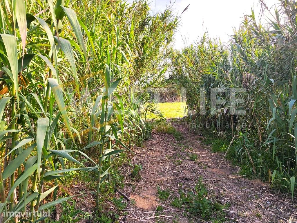 Terreno Rustico - Agrícola de 2560m2 - localização harmoniosa e boa... - Grande imagem: 3/15