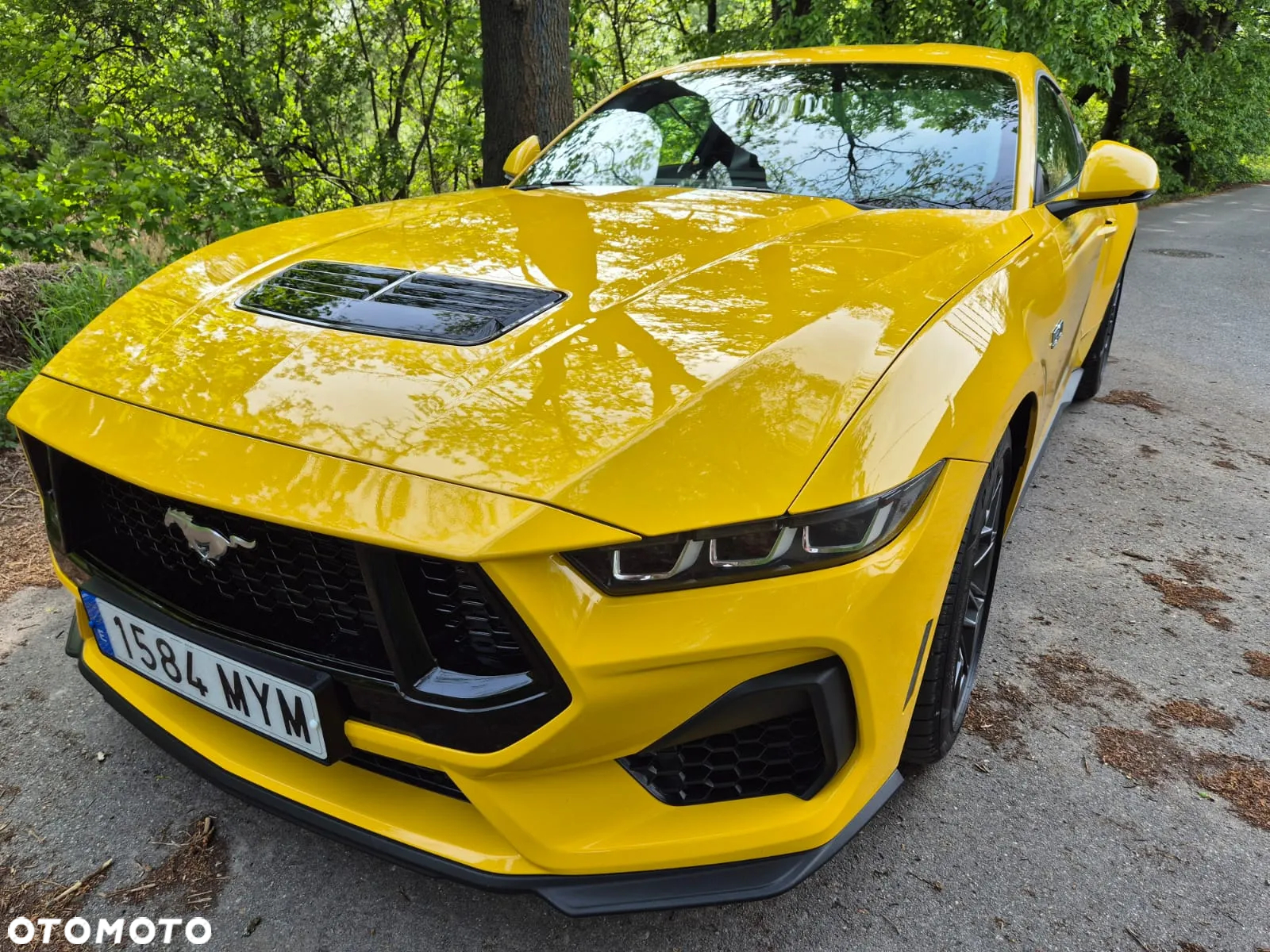 Ford Mustang Fastback 5.0 Ti-VCT V8 GT - 13