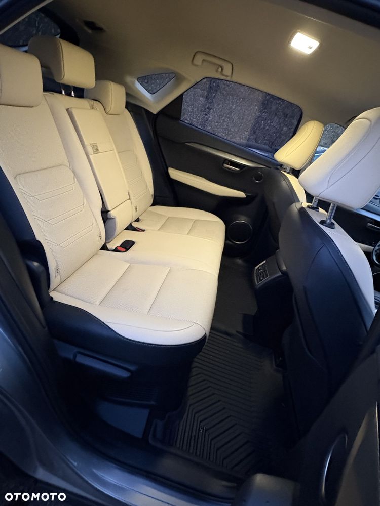 Lexus NX 300h Comfort AWD - 16