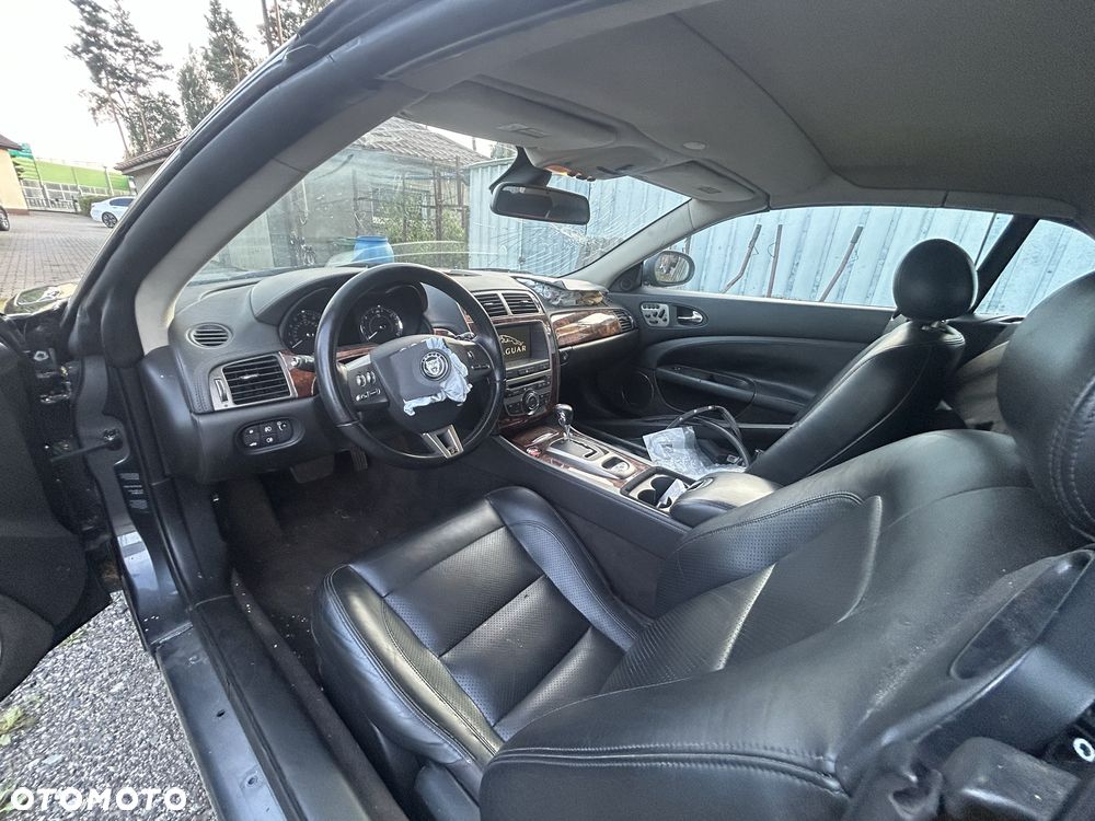 Jaguar Inny - 8