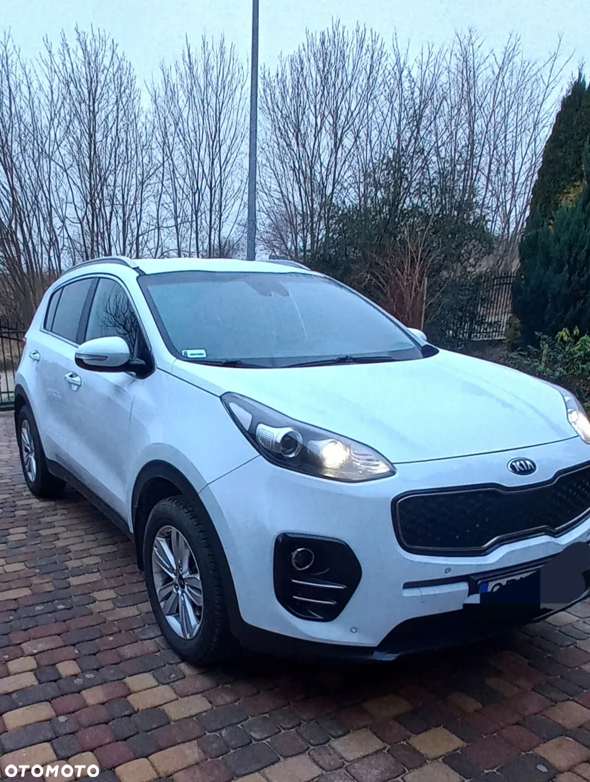 Kia Sportage 1.6 GDI L 2WD - 5