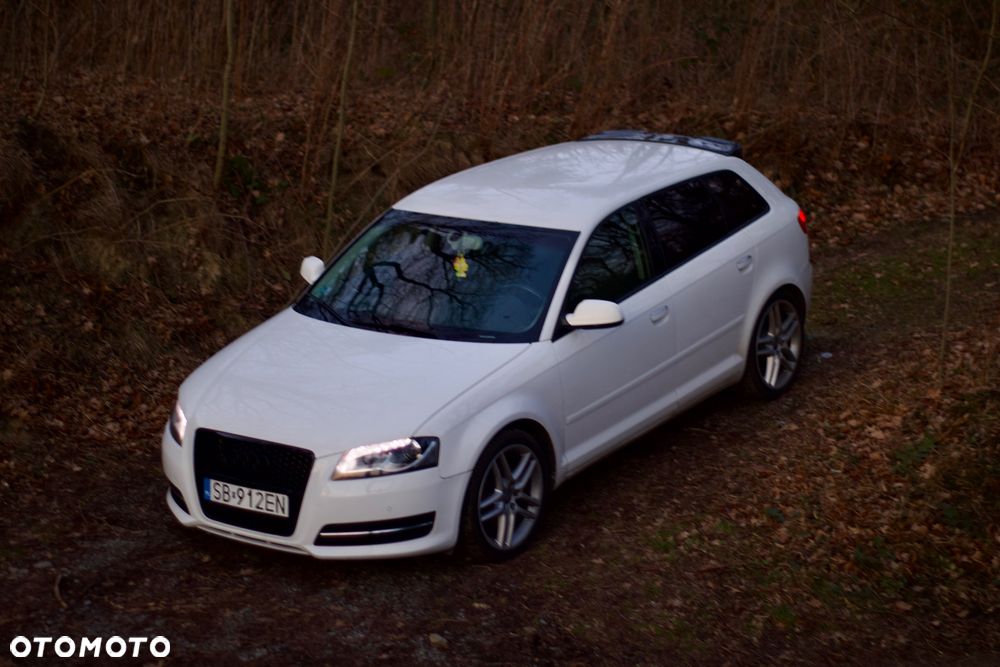 Audi A3 2.0 TDI DPF Ambiente - 5