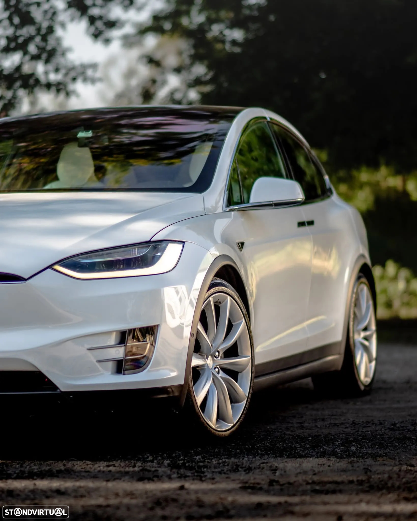 Tesla Model X 90D - 16