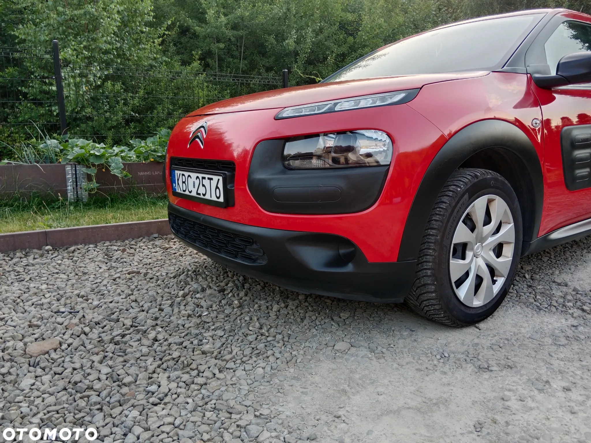 Citroën C4 Cactus 1.2 PureTech Feel - 31