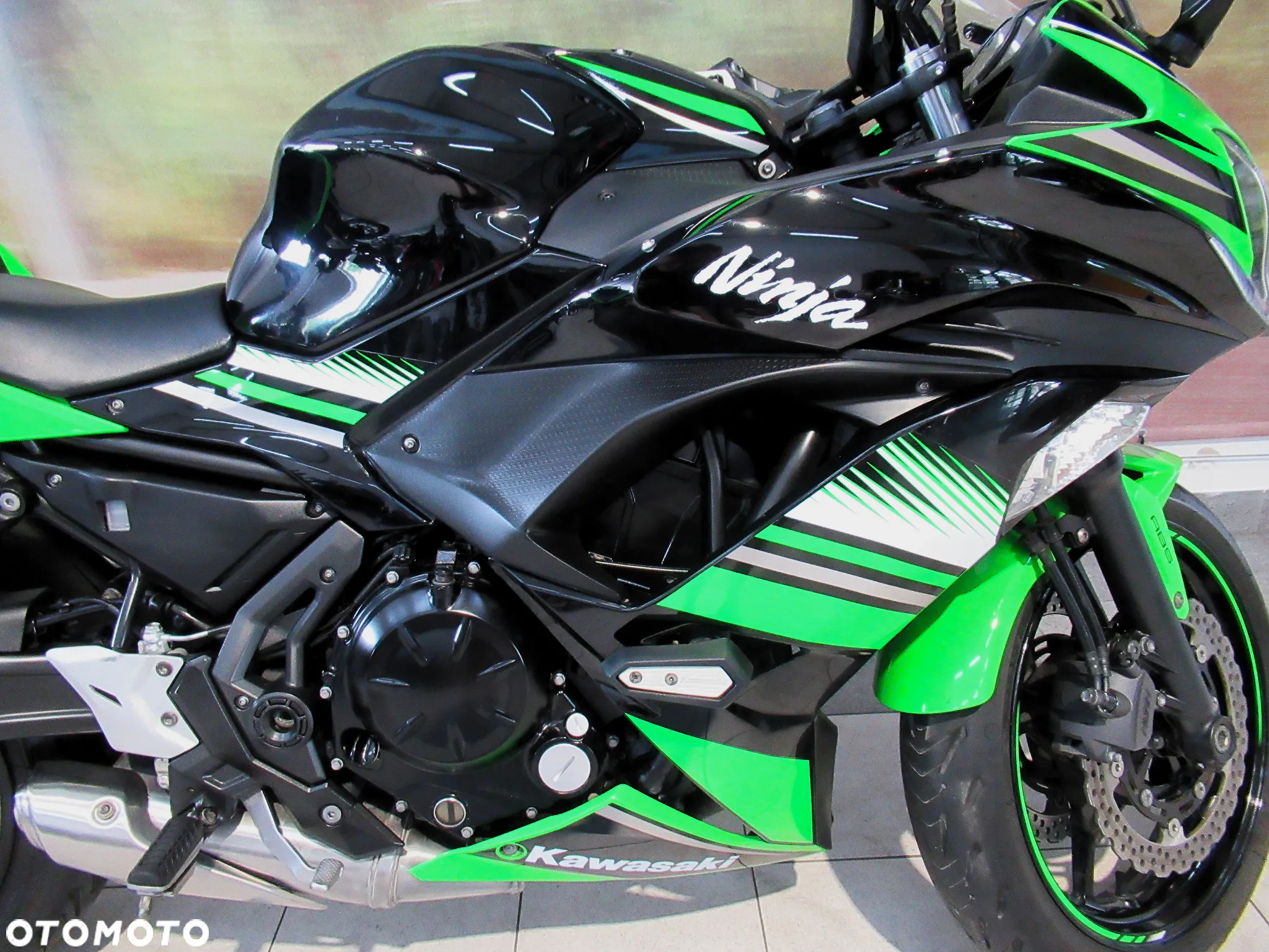 Kawasaki Ninja - 10