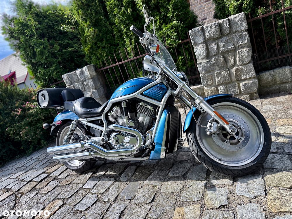 Harley-Davidson V-Rod Street Rod - 2