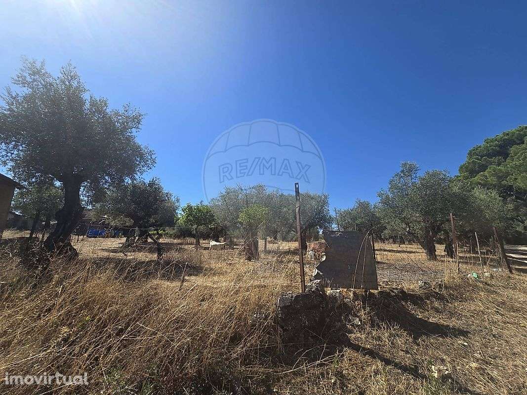 Terreno  para venda - Grande imagem: 3/5