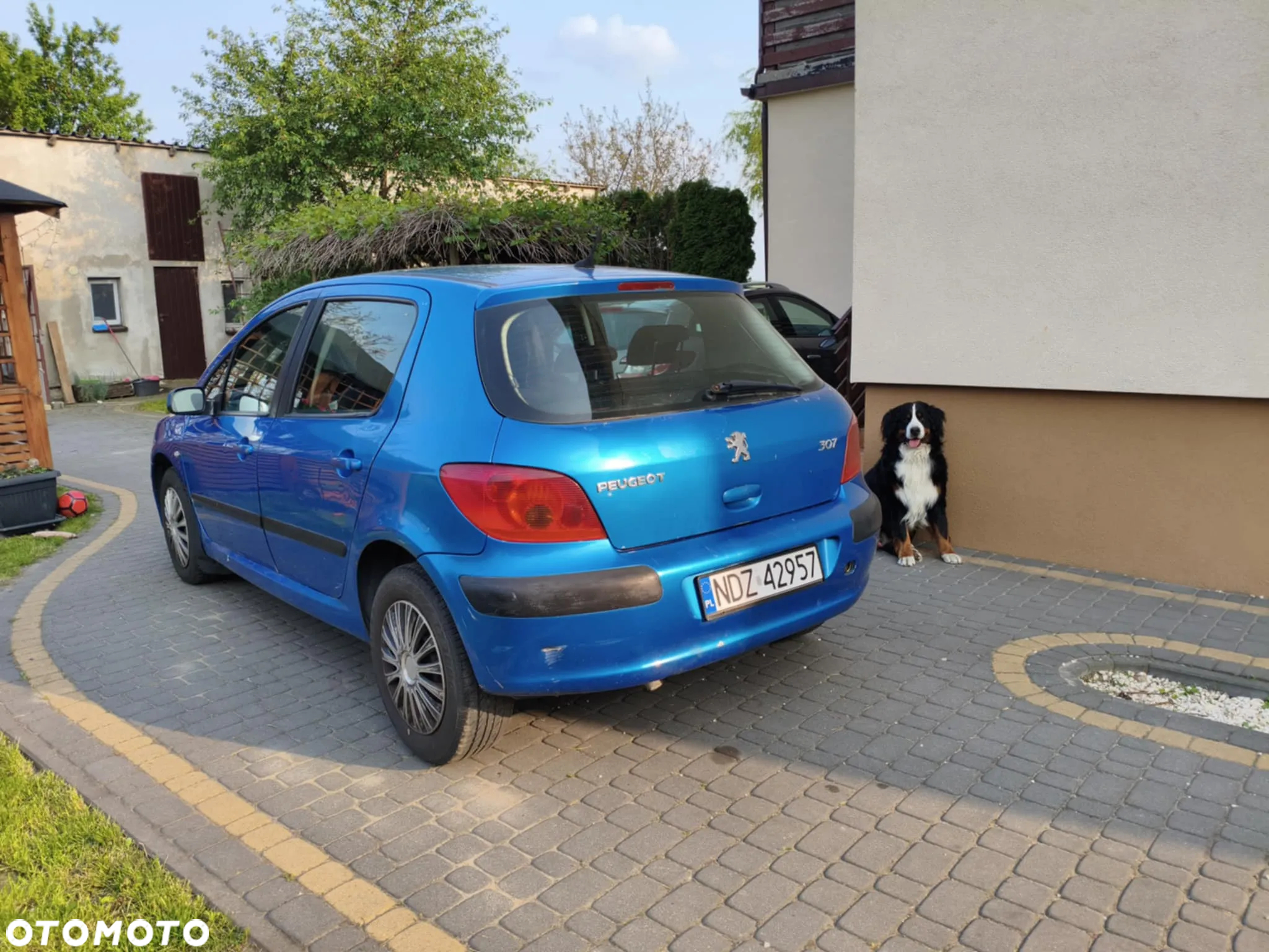 Peugeot 307 1.6 - 3