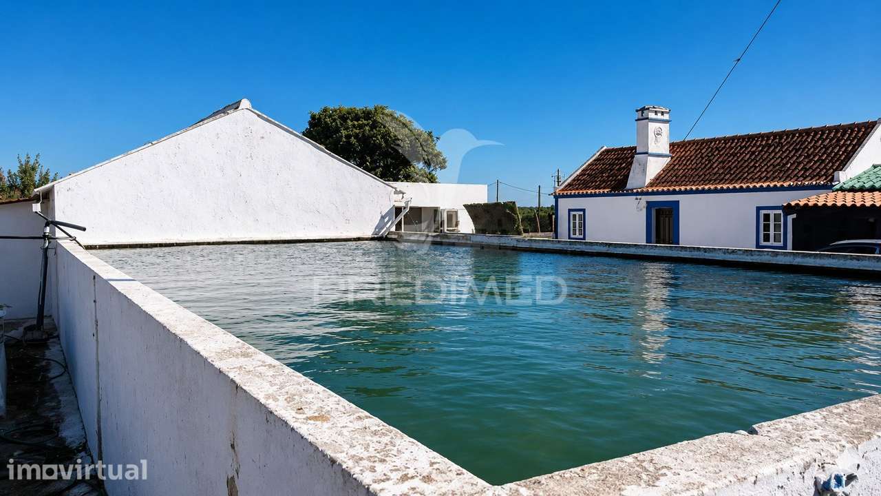 4 Hectares na Costa Alentejana com Casa, Ruína e Potencial Turístico - Grande imagem: 3/31