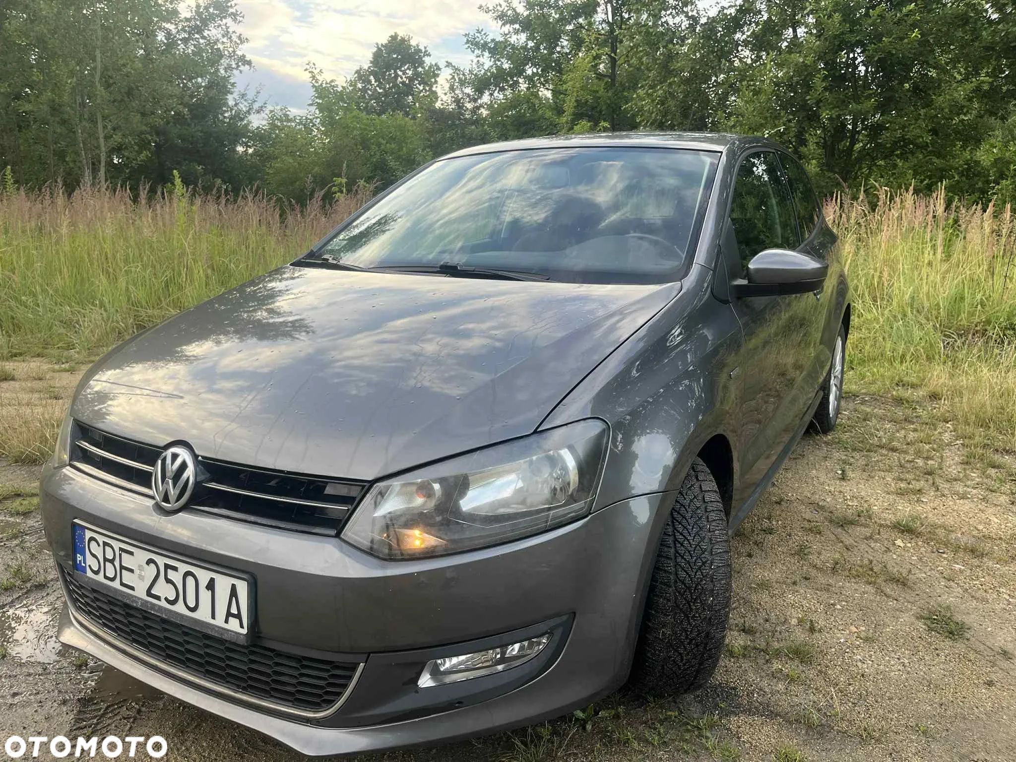 Volkswagen Polo - 1
