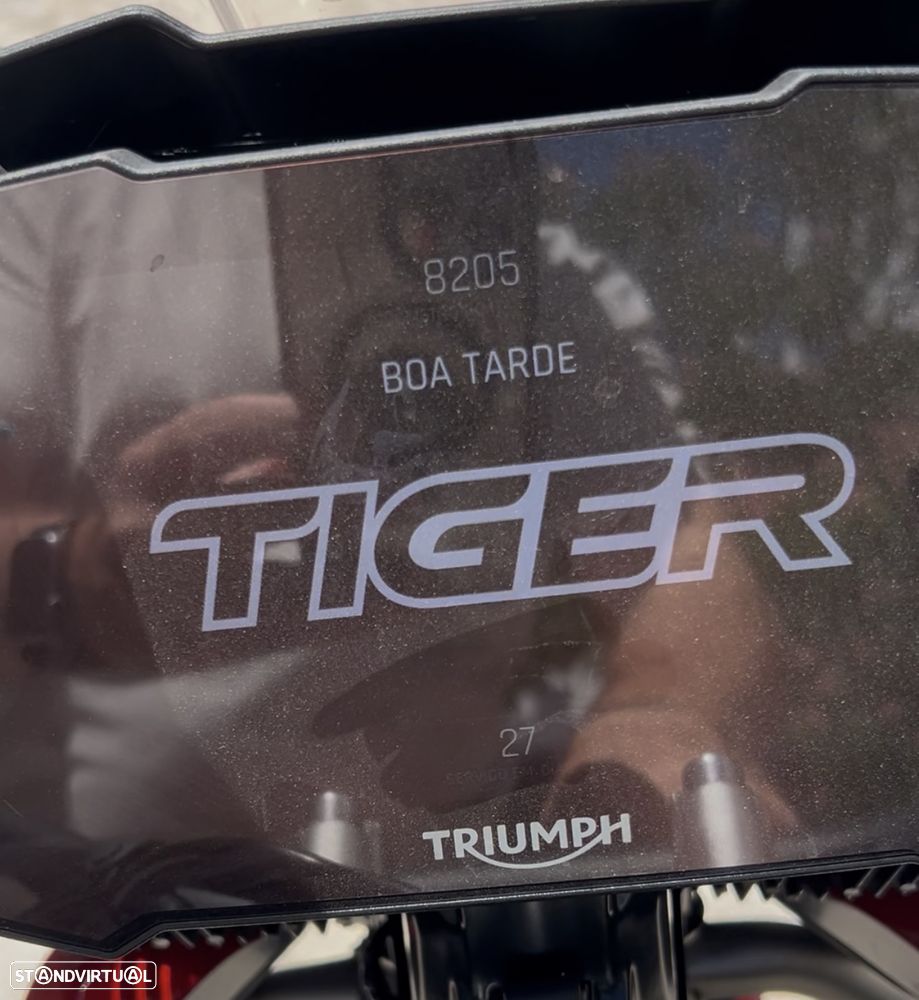 Triumph Tiger Tiger GT 900 Pro Aragon Edition - 6