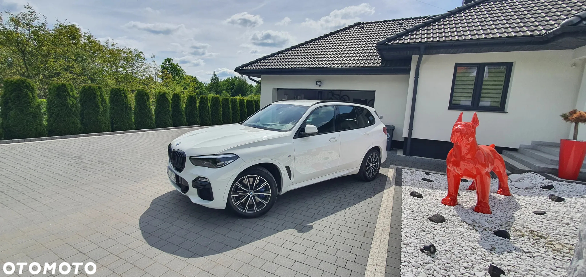 BMW X5 xDrive25d - 5
