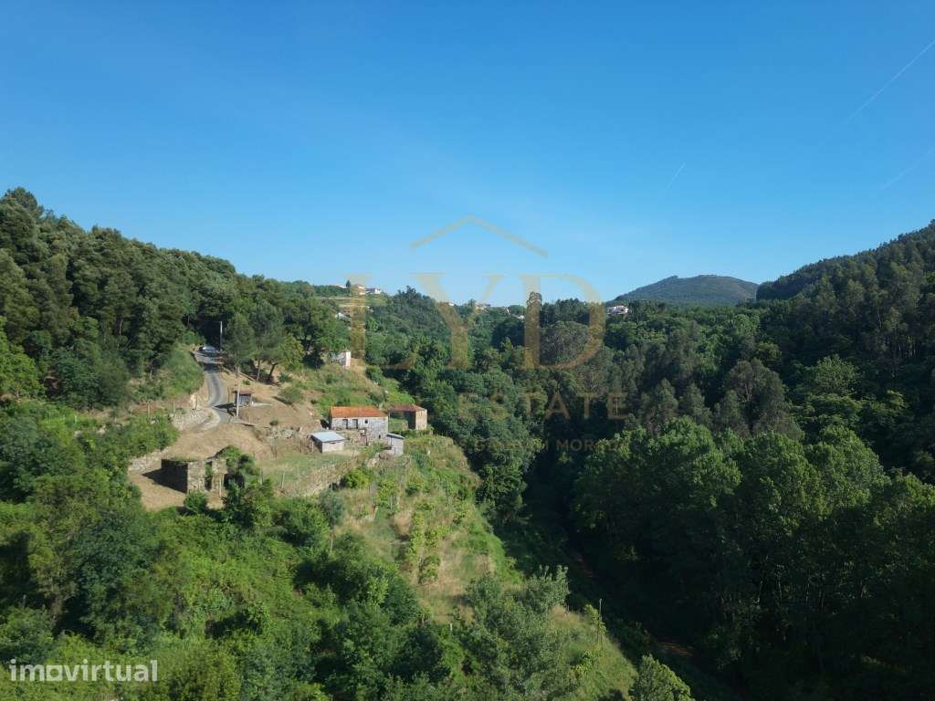Quinta com duas moradias Vista Rio - Grande imagem: 3/33