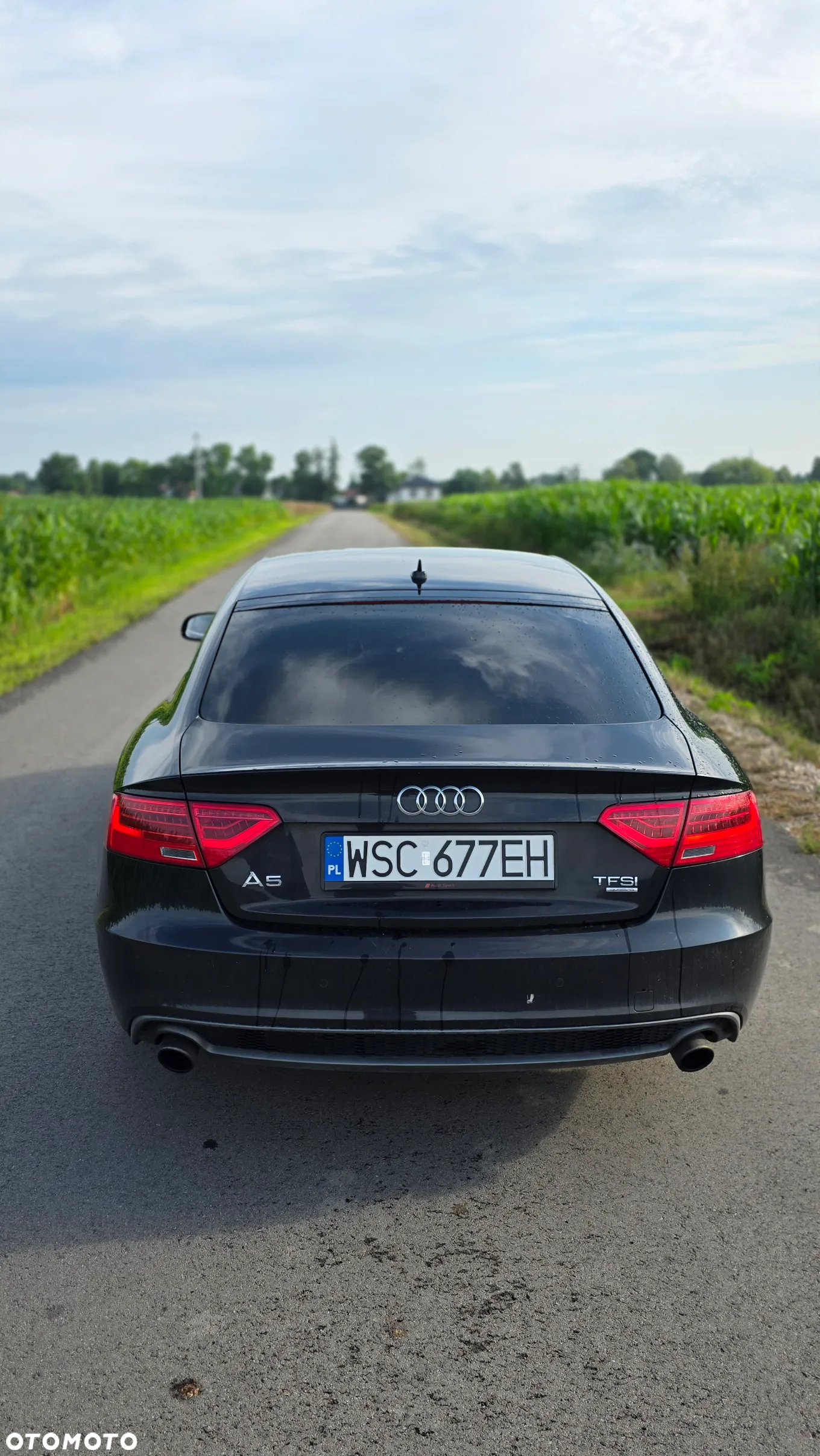 Audi A5 2.0 TFSI Quattro S tronic - 3