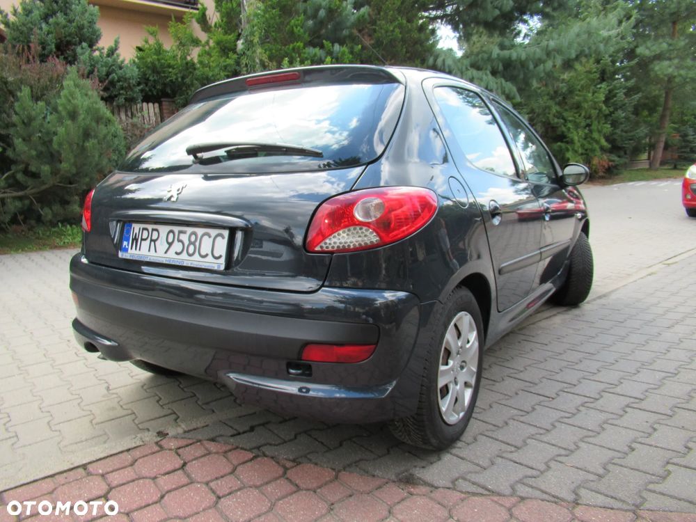 Peugeot 206 plus 60 - 9