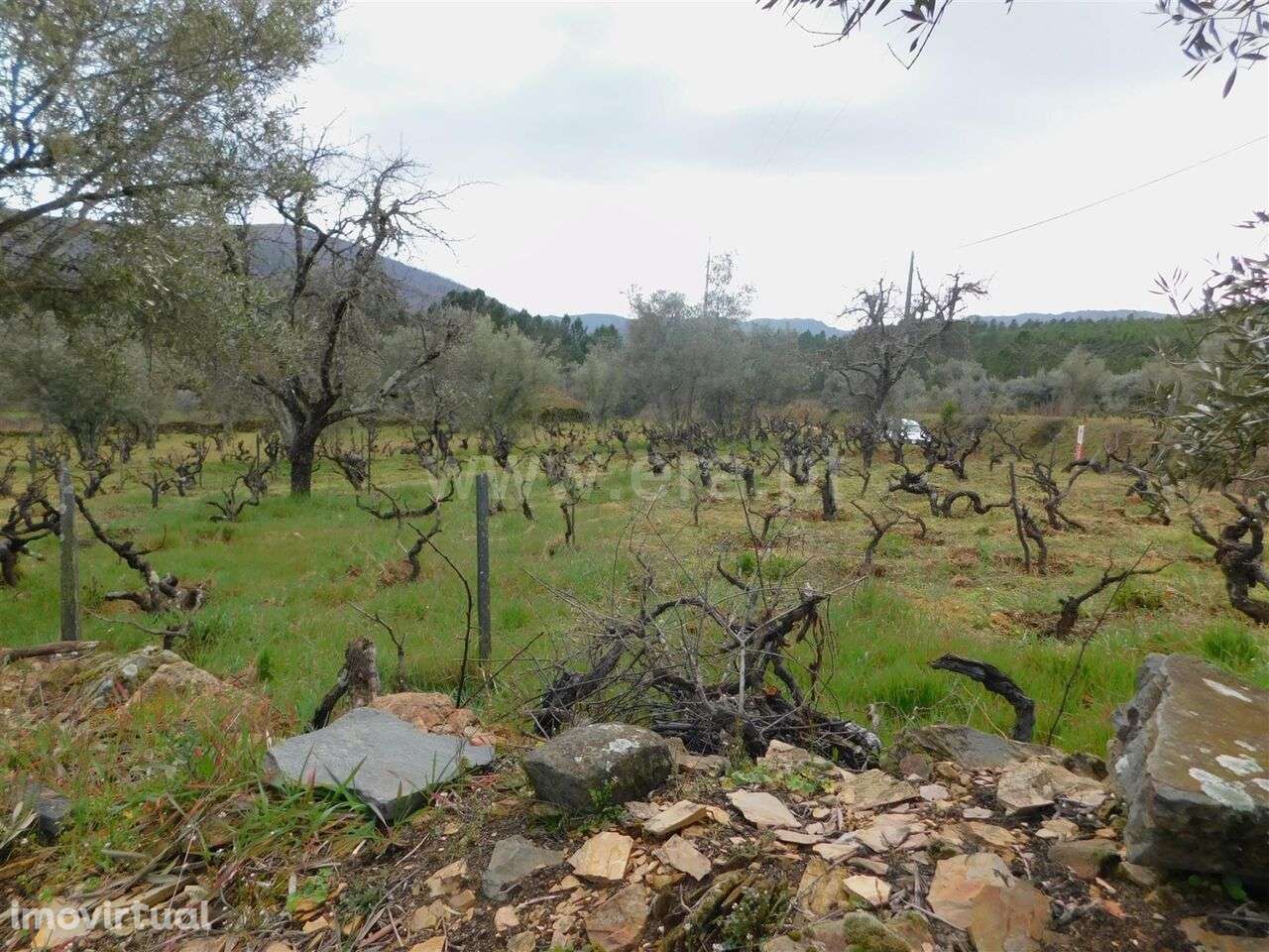Quintinha Estúdio / Covilhã, Serra da Estrela - Grande imagem: 4/8
