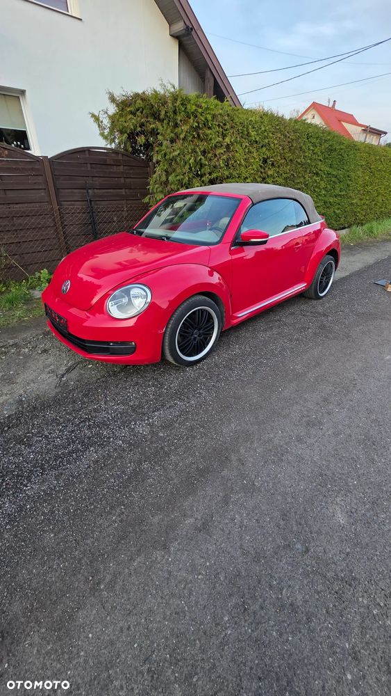 Volkswagen Beetle - 29