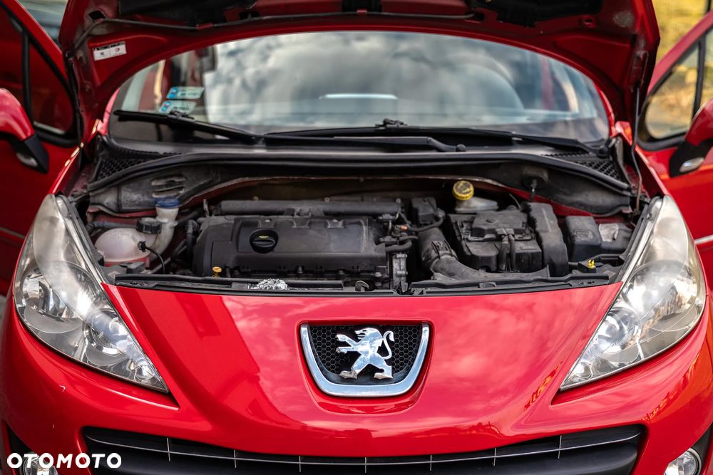 Peugeot 207 - 17