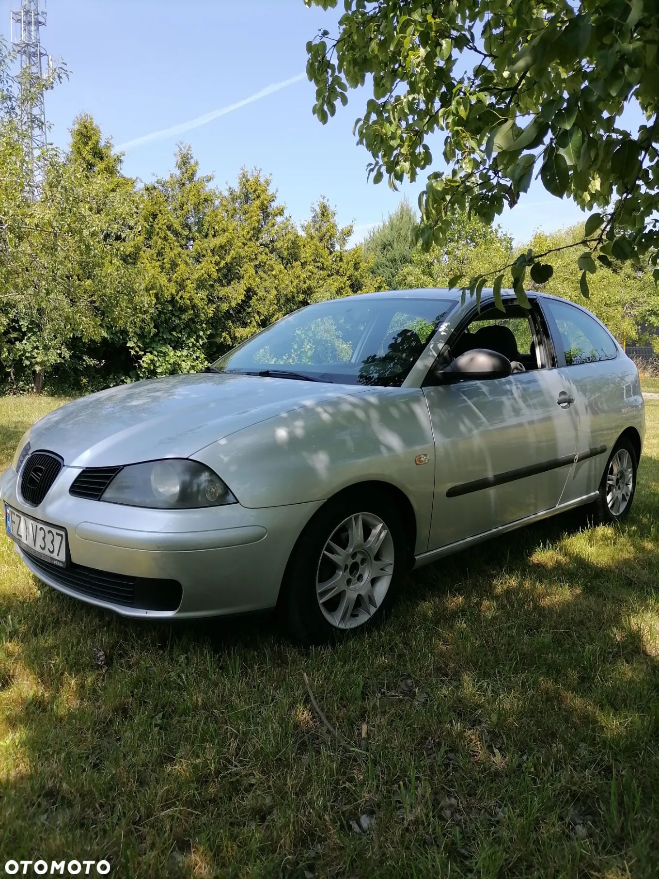 Seat Ibiza - 1