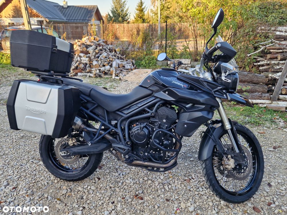 Triumph Tiger - 6