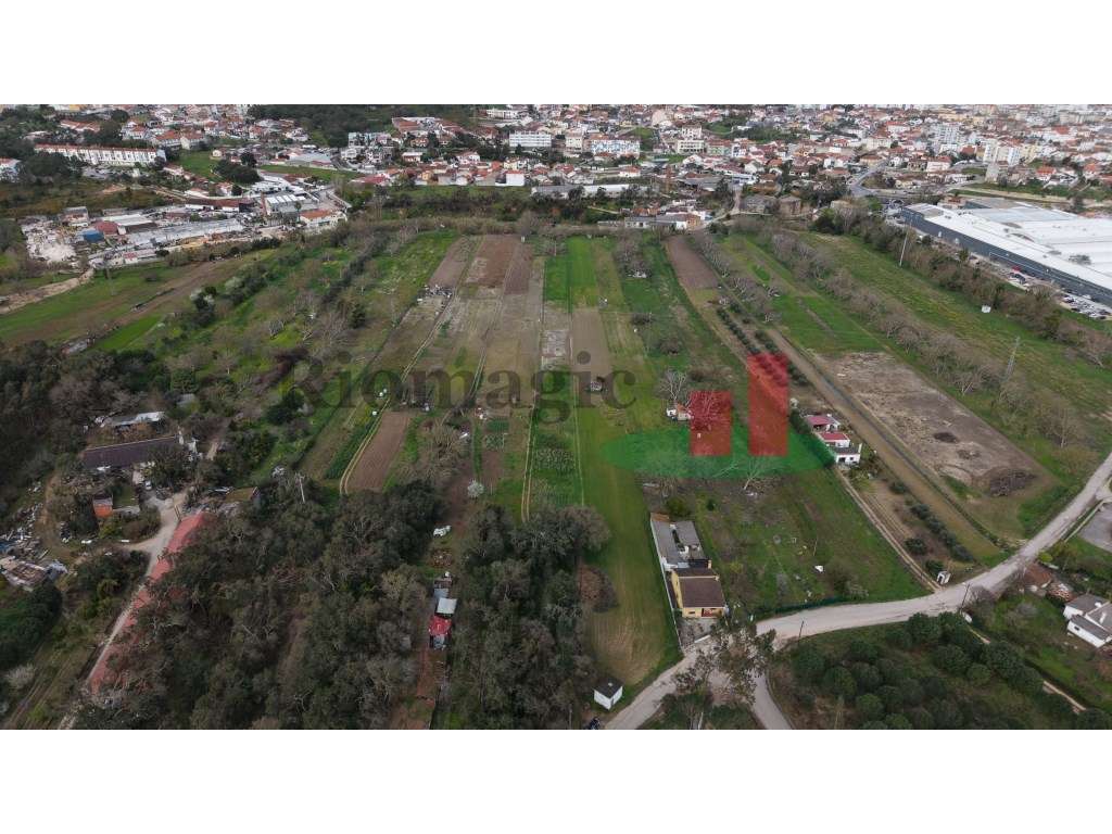 Terreno rústico Rio Maior***RIOMAGIC*** - Grande imagem: 4/11