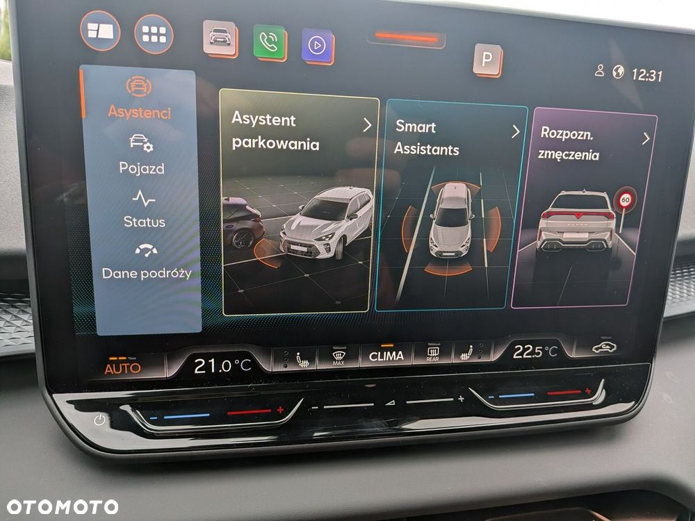 Cupra Terramar - 18