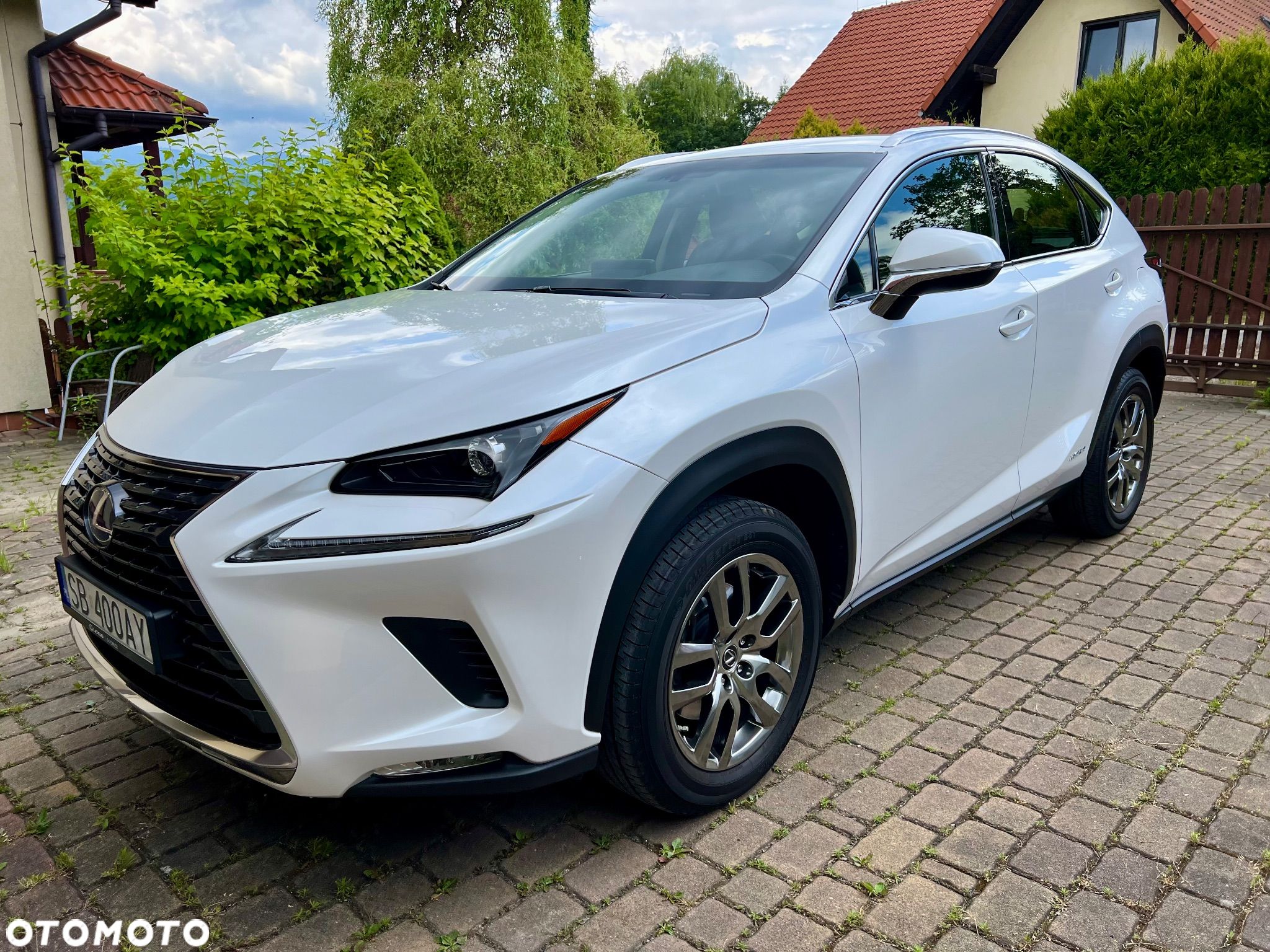 Lexus NX 300h Elegance + Business AWD - 1