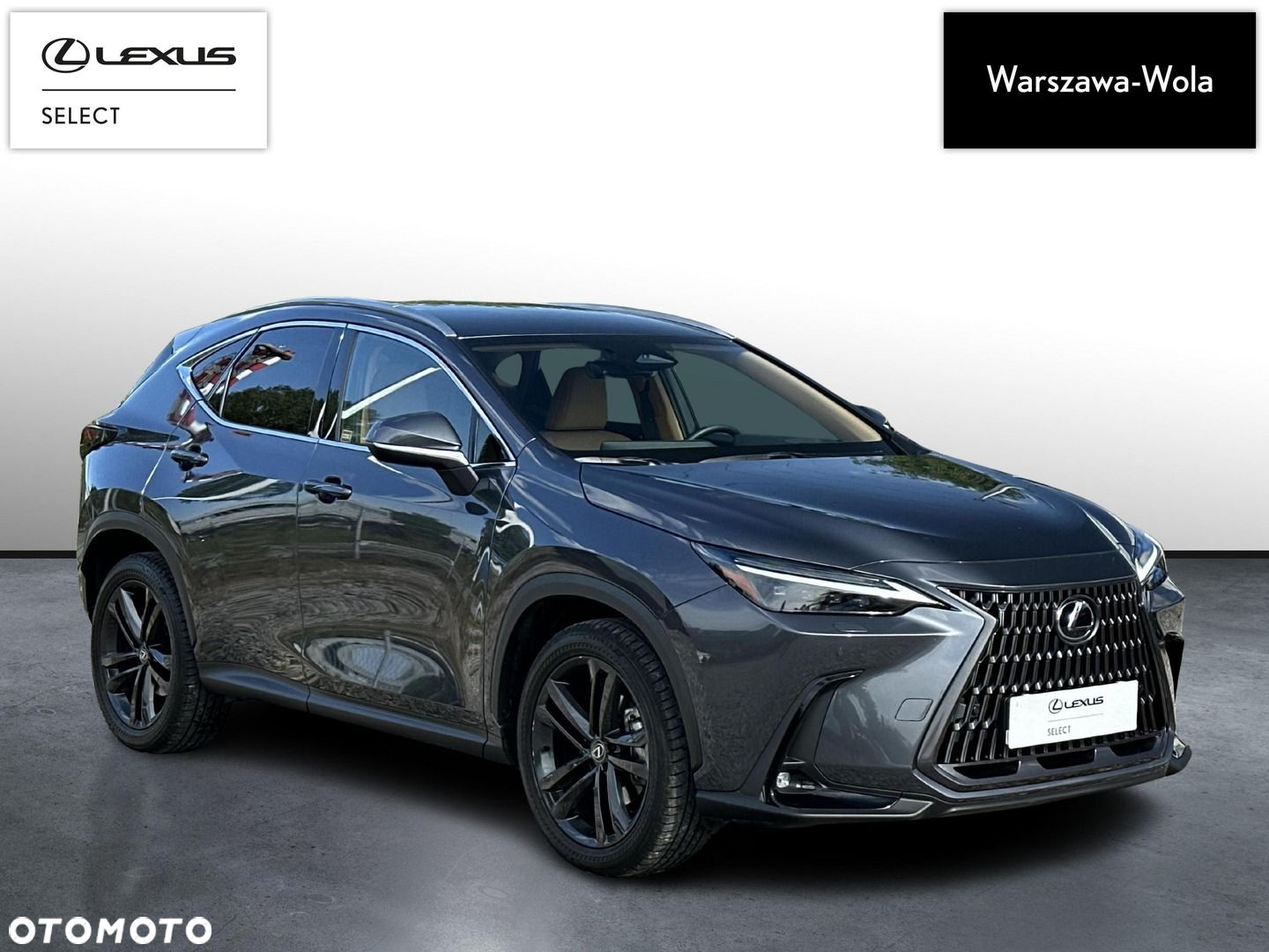 Lexus NX - 9