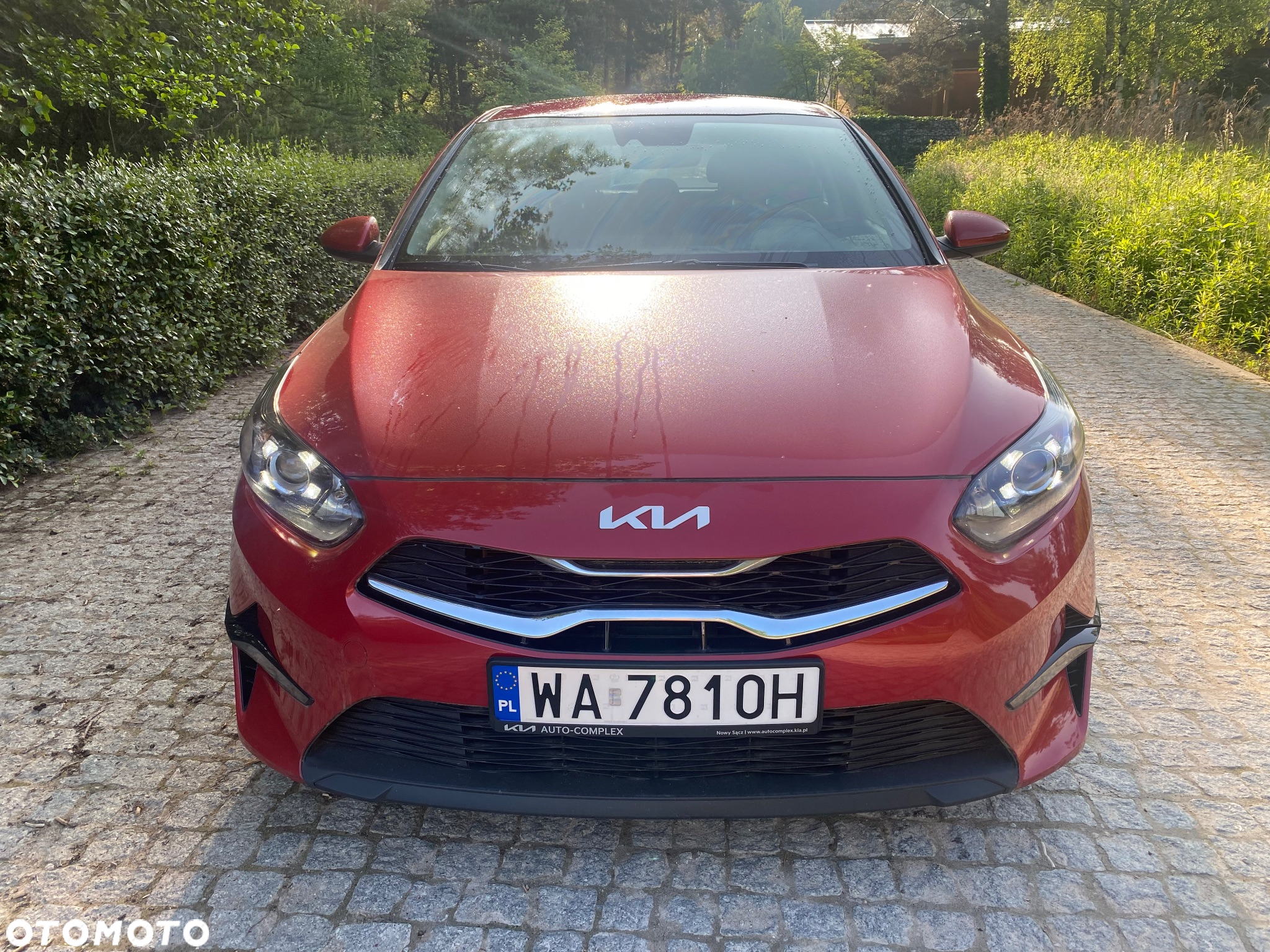 Kia Ceed 1.5 T-GDI M - 2