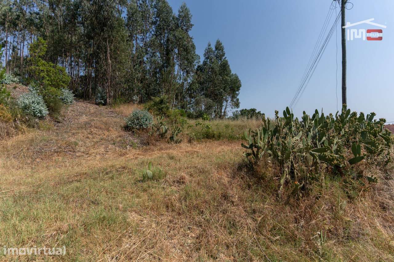 Lote de terreno em Ourém - Grande imagem: 2/10