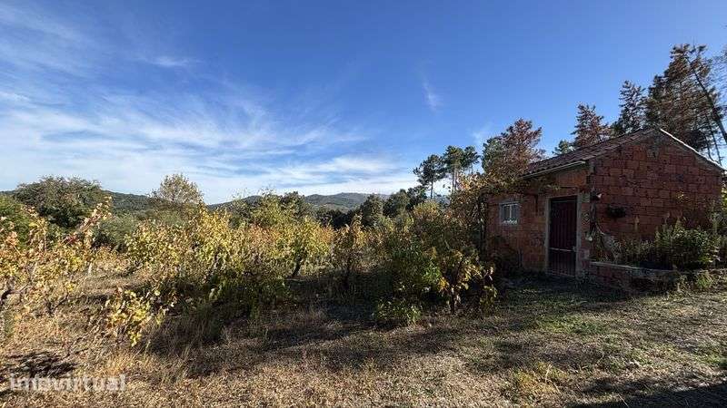 Terreno / Quinta no Freixial - Fundão