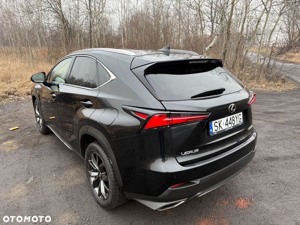 Lexus NX 2019