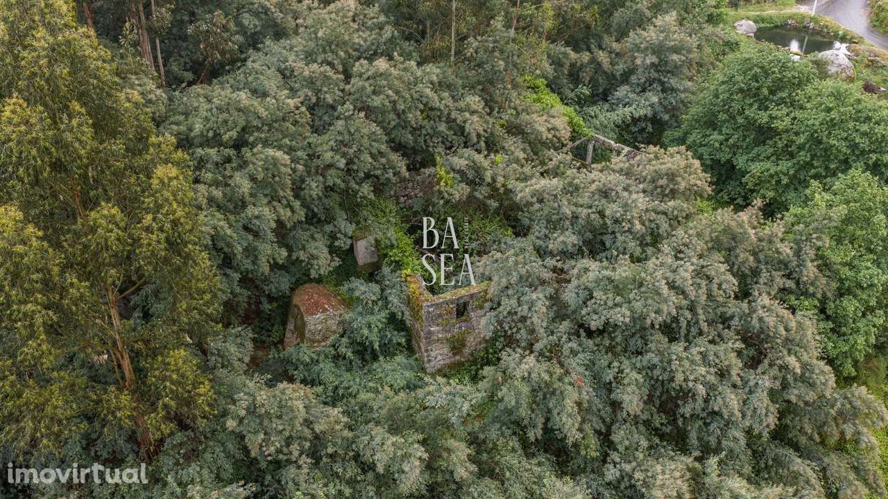 Quinta em ruína com 9.6 ha de terreno em São Clemente Fafe - Grande imagem: 3/29