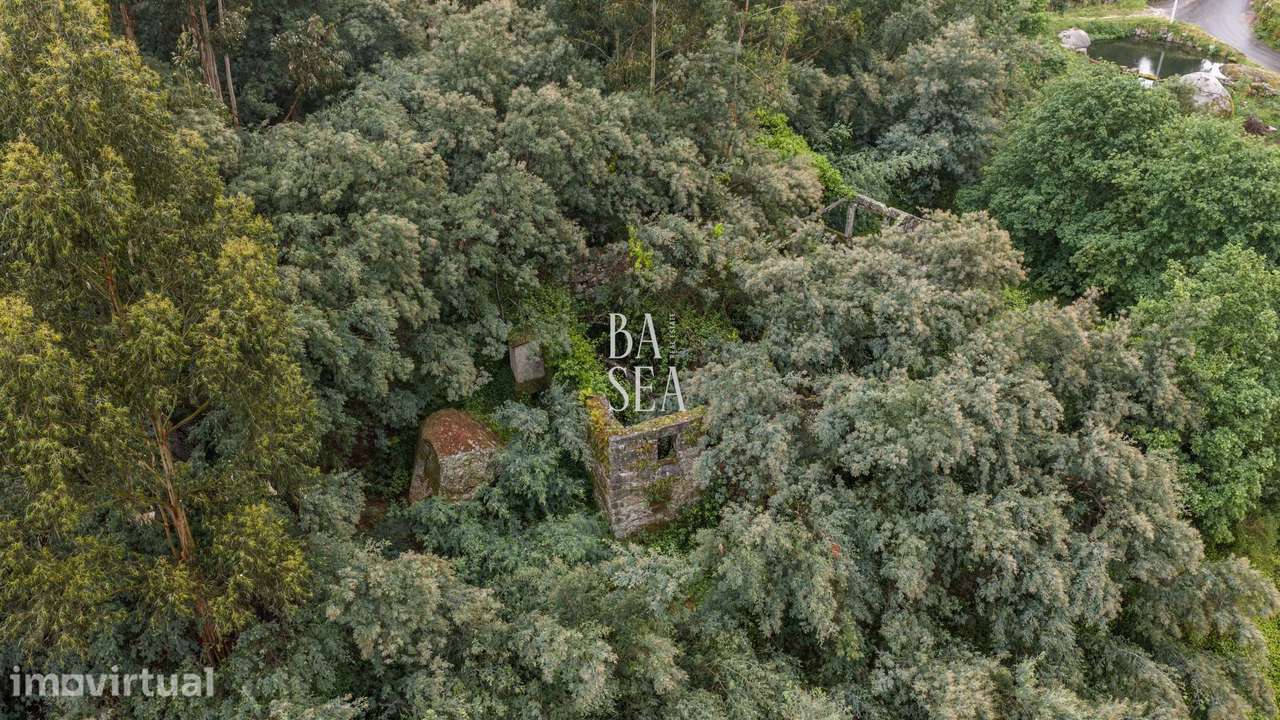 Quinta em ruína com 9.6 ha de terreno em São Clemente Fafe - Grande imagem: 3/29