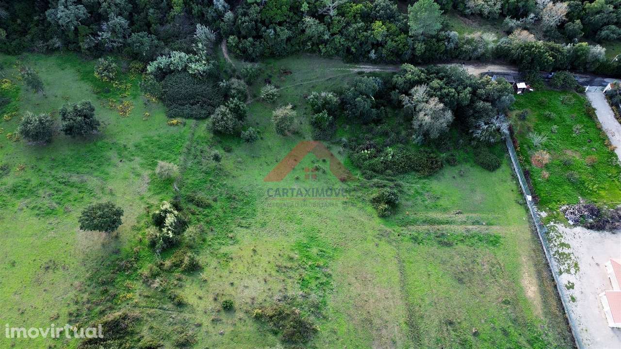 Terreno Rústico  Venda em Manique do Intendente, Vila Nova de São Pedr - Grande imagem: 4/7