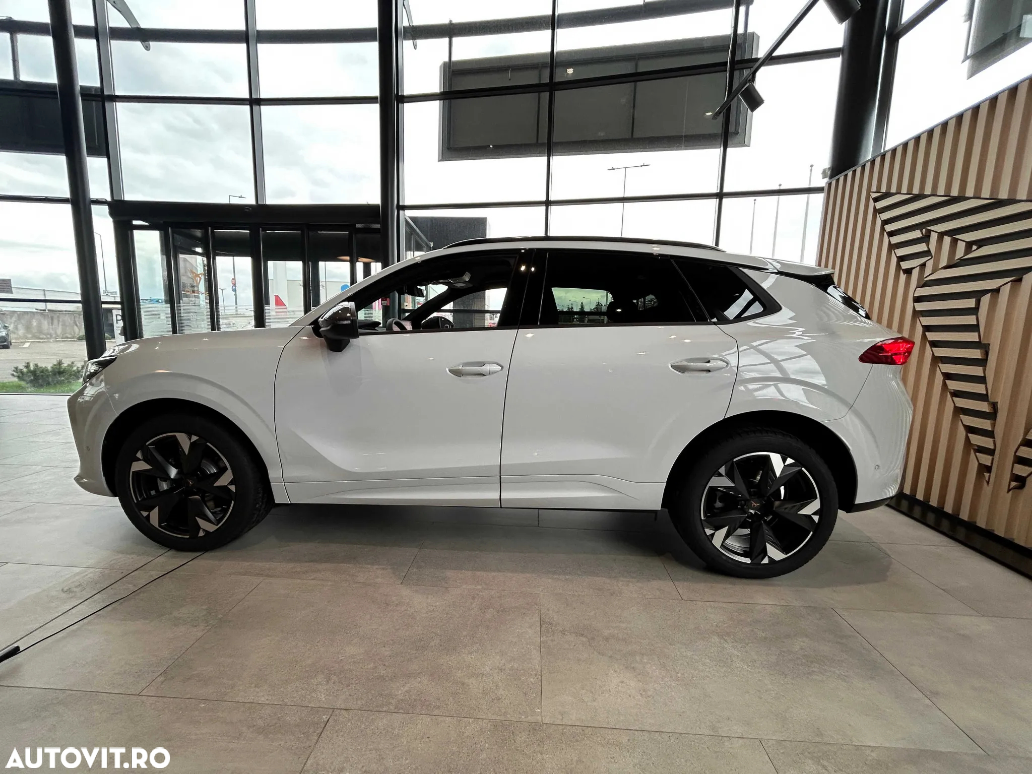 Cupra Terramar - 2