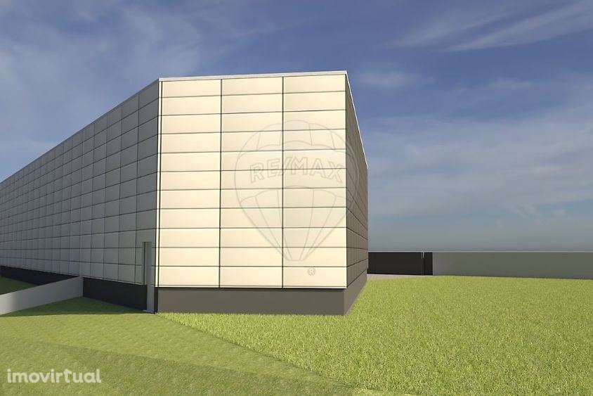 TERRENO INDUSTRIAL - ST .MARIA DA FEIRA - Grande imagem: 3/16