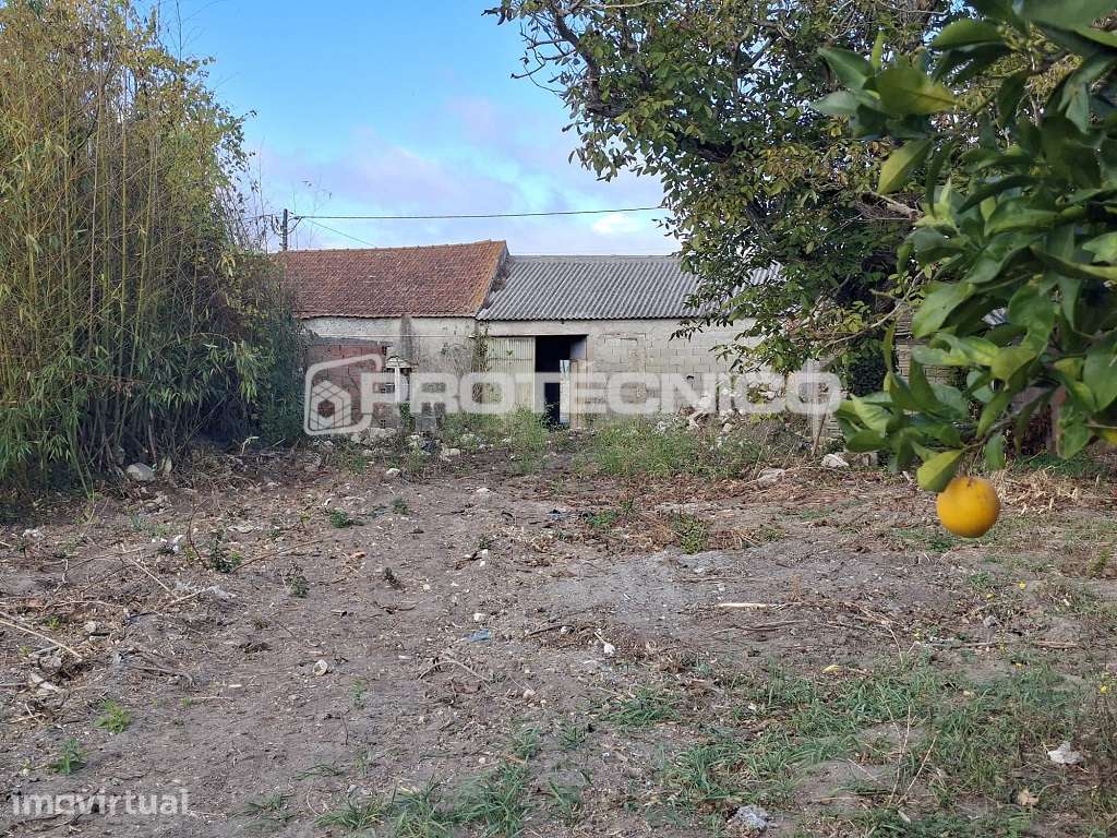 Moradia para Reabilitar - 2.000 m² de Terreno - Grande imagem: 2/4