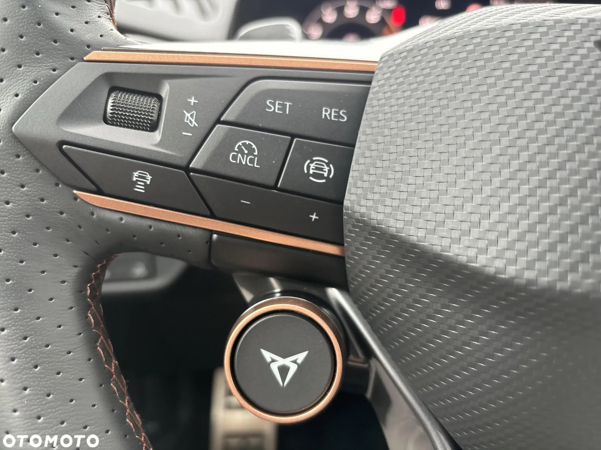 Cupra Terramar 2.0 TSI 4Drive DSG - 20