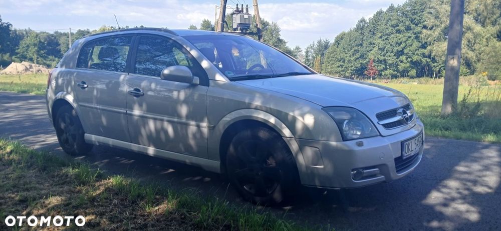 Opel Signum - 4