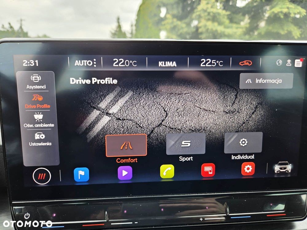 Cupra Formentor 1.5 TSI DSG Tribe Edition - 28