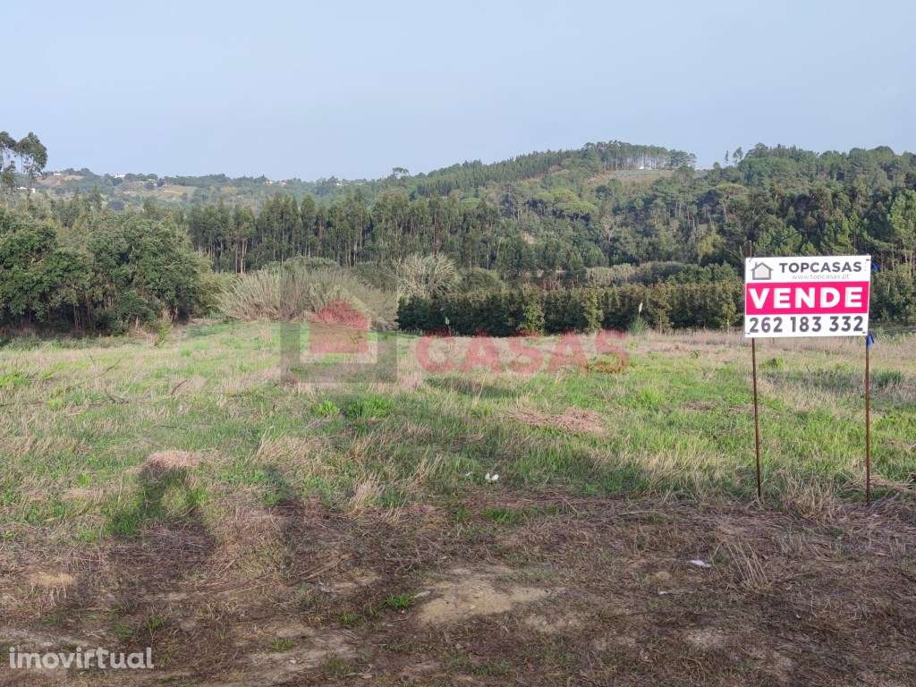 Terreno situado em Salir de Matos. - Grande imagem: 4/13