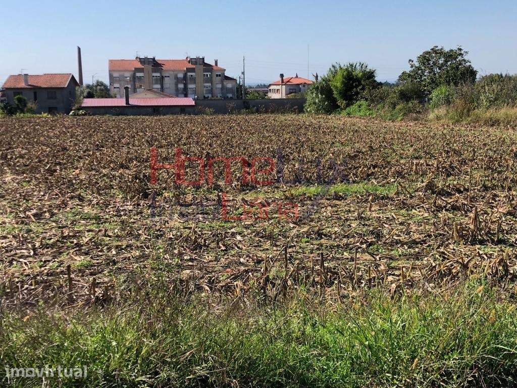 Terreno Urbano na Branca - Grande imagem: 5/9