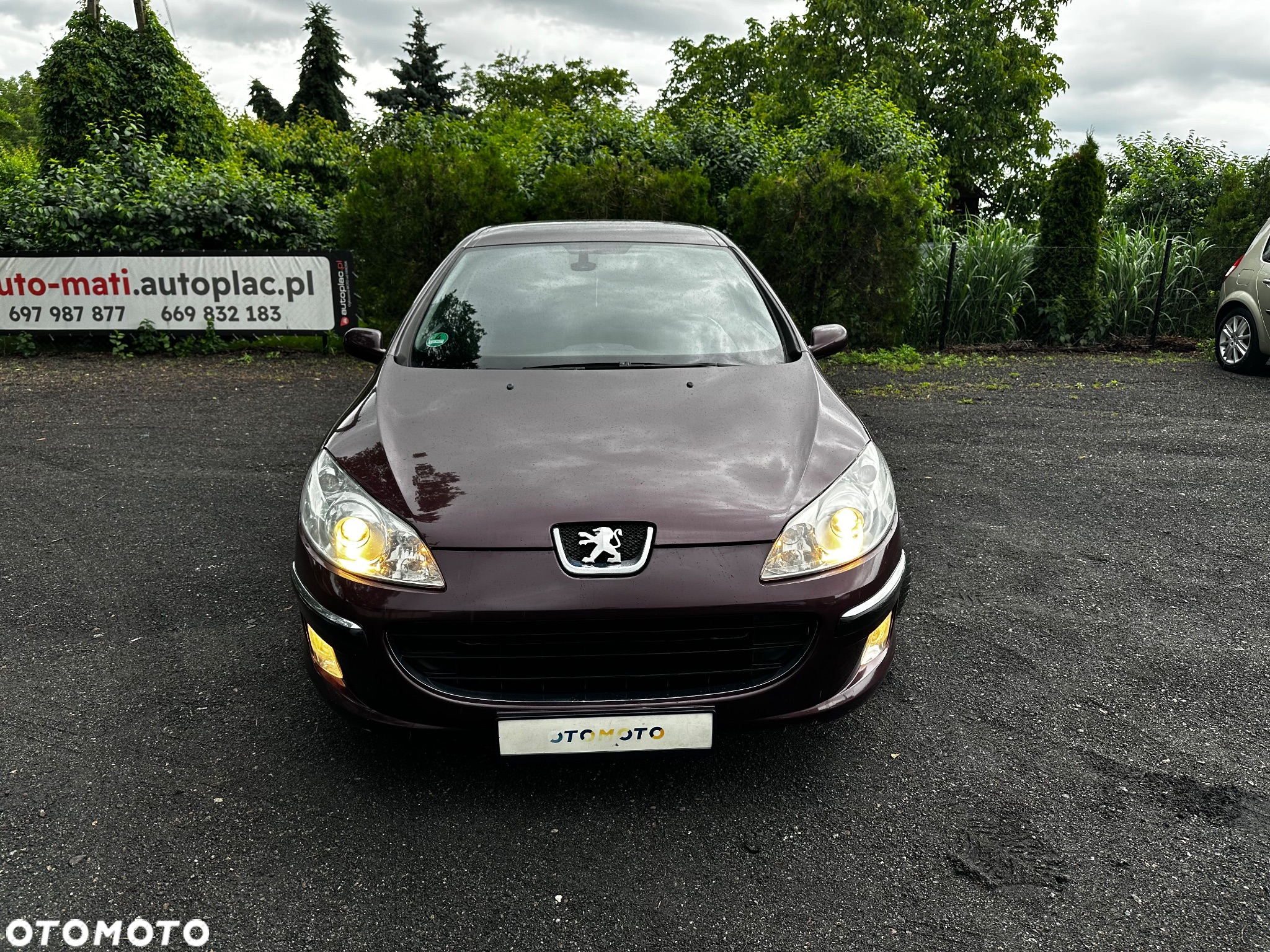 Peugeot 407 - 3